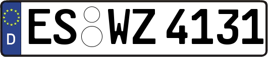 ES-WZ4131