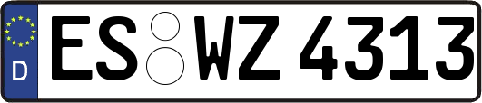 ES-WZ4313