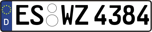 ES-WZ4384