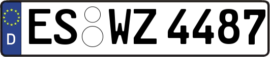 ES-WZ4487