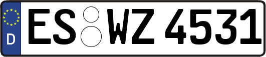 ES-WZ4531