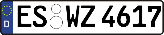 ES-WZ4617