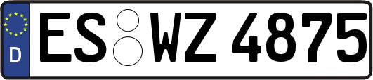 ES-WZ4875