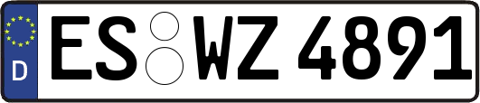 ES-WZ4891