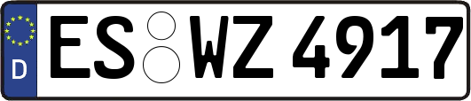 ES-WZ4917