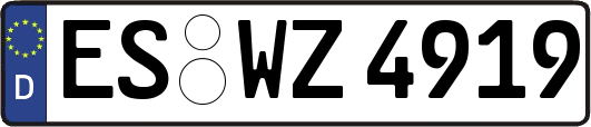 ES-WZ4919