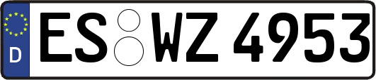ES-WZ4953