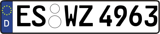 ES-WZ4963
