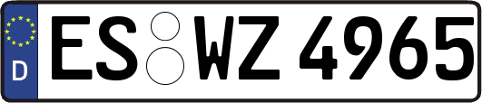 ES-WZ4965