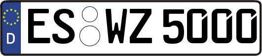 ES-WZ5000