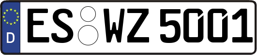 ES-WZ5001