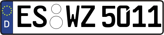 ES-WZ5011