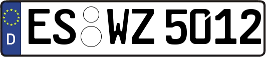 ES-WZ5012