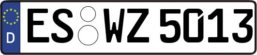 ES-WZ5013