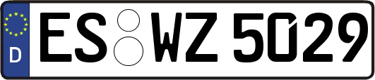 ES-WZ5029