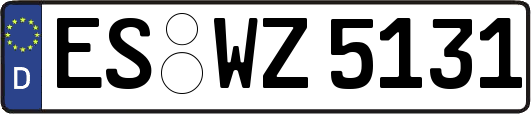 ES-WZ5131