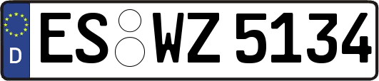 ES-WZ5134