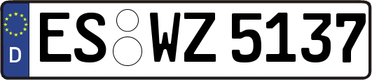 ES-WZ5137