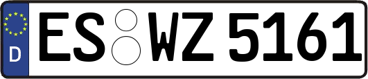 ES-WZ5161