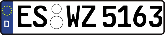 ES-WZ5163