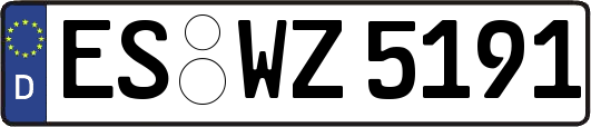 ES-WZ5191