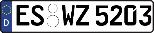 ES-WZ5203