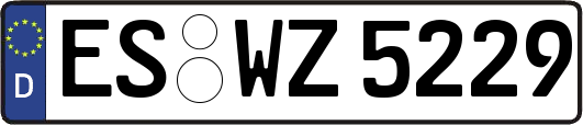 ES-WZ5229