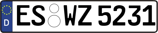 ES-WZ5231