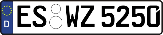 ES-WZ5250