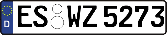 ES-WZ5273