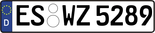 ES-WZ5289