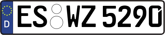 ES-WZ5290