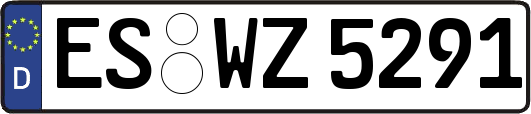 ES-WZ5291