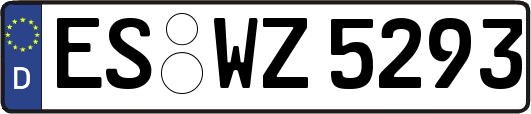 ES-WZ5293