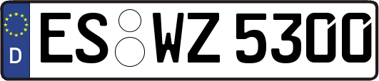 ES-WZ5300