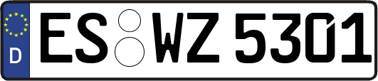 ES-WZ5301