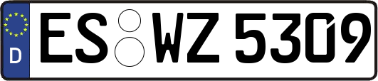 ES-WZ5309