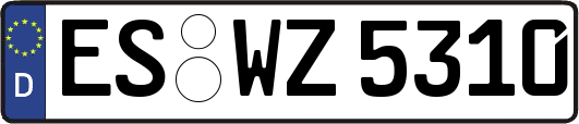 ES-WZ5310