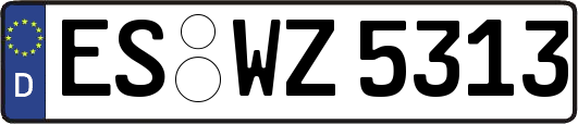 ES-WZ5313