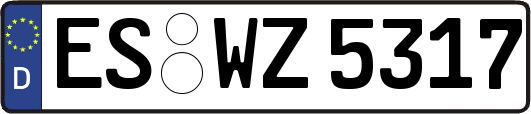 ES-WZ5317