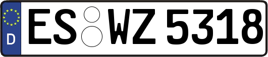 ES-WZ5318
