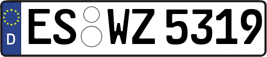 ES-WZ5319