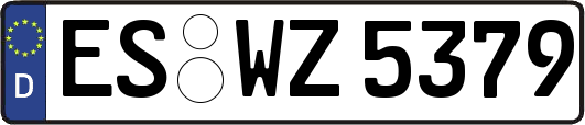 ES-WZ5379