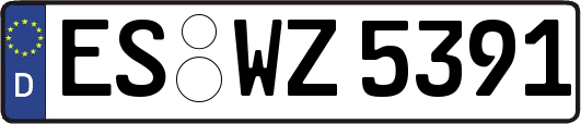 ES-WZ5391