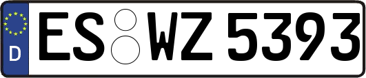 ES-WZ5393