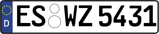 ES-WZ5431