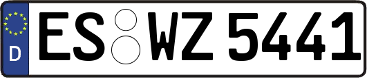 ES-WZ5441
