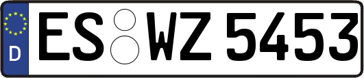 ES-WZ5453