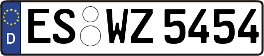 ES-WZ5454