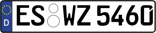 ES-WZ5460